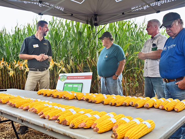 Todd Hesse (far left) of Ziegler Ag Products, shows farmers corn ears with good singulation (top row) and poor singulation. (Progressive Farmer image by Matthew Wilde)